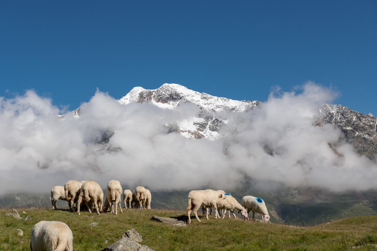 Natur-&Alpinhotel Post Vent Exteriér fotografie